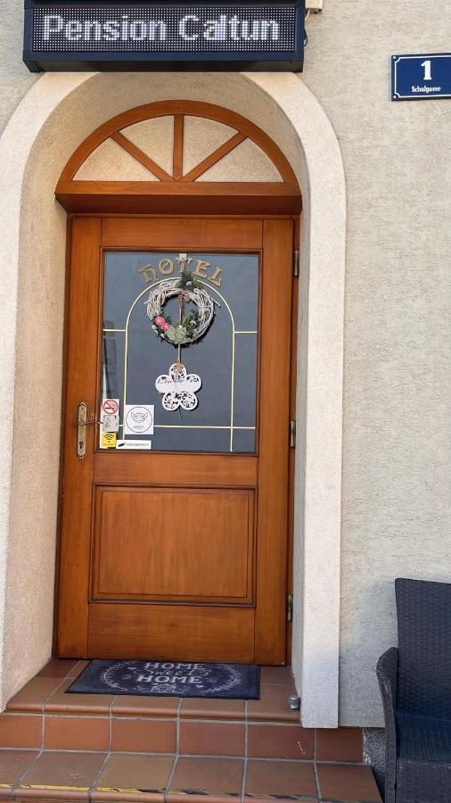Fruehstueckspension Elena Nicoleta Caltun Fischamend Exterior foto